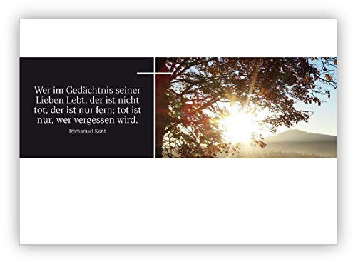 Kartenkaufrausch 16 Hoffnung schenkende Trauerkarte/Kondolenzkarte mit Landschaft und Zitat: Was ein Mensch an Gutem in die Welt hinausgibt. • edle Premium Beistandskarte für die Hinterbliebenen
