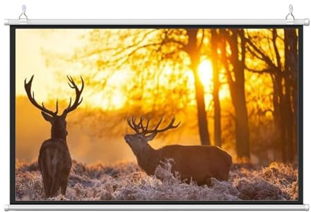 SXKJQER HD Rolloleinwand Präsentationswand Projektionsfläche, Leinwand Beamer 16:9 HD Faltbarer Beamer Leinwand, Freistehend Herunterrollbarer Beamer Leinwand Knitterfreier Für Heimkino(4:3,72)