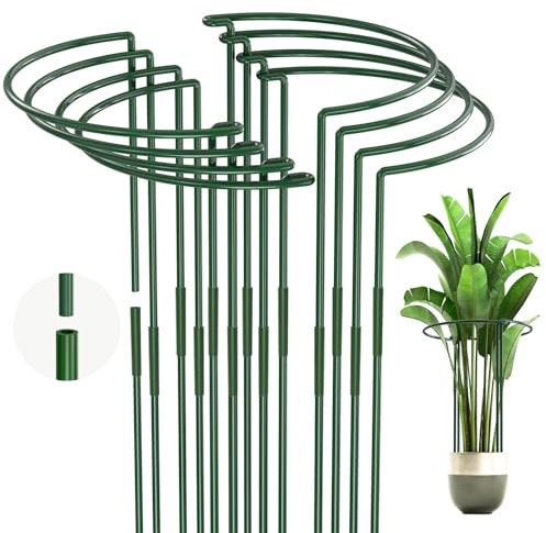 KAZITOO 6 Pack 80cm Plant Support Stakes Extra Long, Attachable Large Tall Green Metal Garden Supports, Easy to Connect Half Round Plant Stake Ring Cage for Peonies Monstera Rose Sedum(80X32cm, 6)