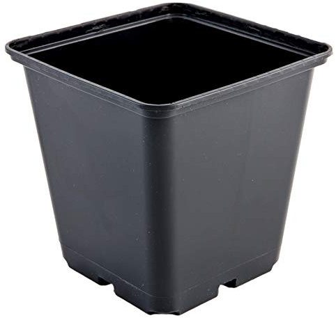 Greenvass Lot de 5 pots de culture hydroponique carrés, 13 x 13 x 13 cm.