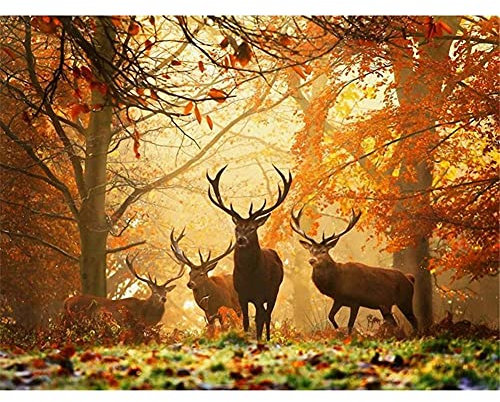 Peinture Diamant 5D Forage Complet Cerf de forêt DIY Diamant Peinture Kit pour Adultes,Diamond Painting pour Enfants,Broderie Tableau point de croix Kit,Strass Image Décor Cadeau 40x50cm