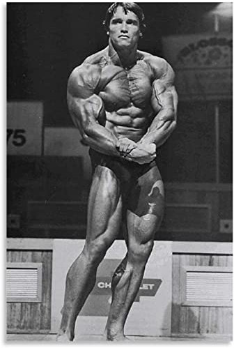 LBMED Leinwand Bilder Kunst Arnold Schwarzenegger Poster – Klassische Filme für Wohnzimmerdekoration Malerei Poster Druckt Gedruckte 15.7x23.6(40x60cm) Kein Rahmen