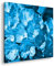 deyoli farbenfroher Rhododendron-Strauch Format: 60x60 Effekt: Monocrome Blau als Leinwand, Motiv fertig gerahmt auf Echtholzrahmen, Hochwertiger Digitaldruck mit Rahmen