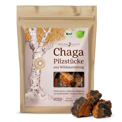 Effective Nature Bio Chaga Pilz Brocken 100g - Vegan & Rohkostqualität | Wild geerntet aus estnischen Birkenwäldern - Ideal für Chaga Tee & Chaga Kaffee