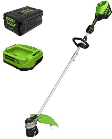 Greenworks - Tondeuse à Corde sans Fil sans balais de 60 V, 16 Pouces, Batterie de 2,5 Ah et Chargeur Inclus