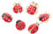 BESPORTBLE 6 Pcs Ladybug Brosche Pin Kristall Insektenstifte Süßes Tier Emaille Lapel Safety Pin Für Frauen Mädchen Damen Bekleidungsbeutel Hut Schmuck