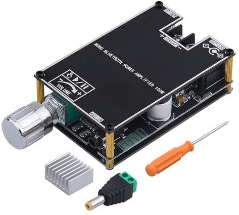 Wireless Audio Amplifier Module, 100W Mono Speaker Board, Strong Sound Output, Portable Subwoofer Tool, Home Studio Use, Outdoor Audio, Live Performance Setup