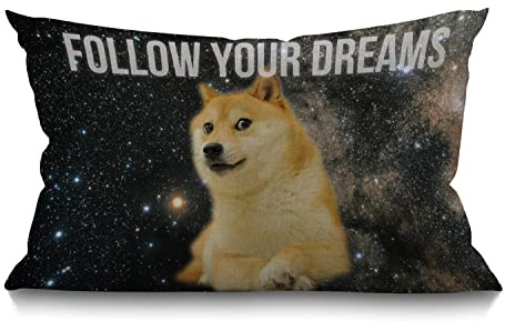 BGBDEIA Farmhouse Decorative Outdoor Throw Pillow Covers for Couch Sofa Bed Space Doge Pillow Cover Modern Decor Pillow Case 30 x 50 cm 12 x 20 Inch