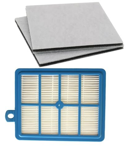 REIPOL Filtre Hepa réutilisable H12 H13 + Filtre en Coton Moteur 2 pièces, for Philips for Electrolux AEG EFH12W AEF12W FC8031 EL012W FC9080 FC9088