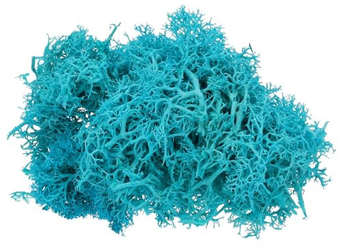 PATIKIL 1.8 OZ Finto Muschio Conservato Renna Muschio Artificiale Muschio Lichene Centrotavola Decoro Finta Muschio per Vaso Piante Natale Artigianato Scuro Ciano