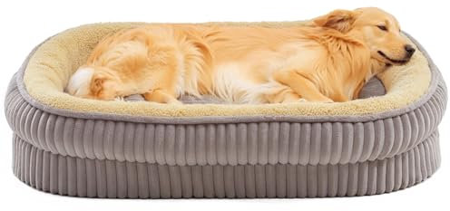DEBANG HOME Lit orthopédique pour Chiens de très Grande Taille, lit Ovale en Mousse Haute densité, avec Housse Amovible Lavable et Fond antidérapant (Gris, XL(89X71X19cm))