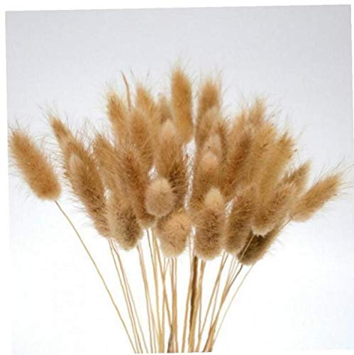 AMOYER 20 Vorbauten Getrocknete Blumen-Häschen-Endstück Natürliche Pflanzen Blumen Kaninchen Gras Bouquet Hauptdekoration Zubehör Foto