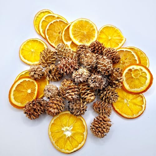 Bastelnaturmaterial Naturdekoration Streudeko basteln im Herbst/Winter Weihnachtskranz Orangenscheiben Minizapfen Bastelset 40 Teile