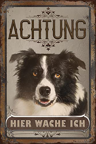 30 x 20 cm wetterfestes Blechschild, Warnhinweis, Torschild, Achtung, hier Wache ich! Warnung vor dem Hund (Border Collie)