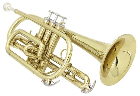 B-flat Kornett Messing Rohr Körper Gold und Silber Mini Trompete Tasche Trompete mit Tuch box für Anfänger Profi