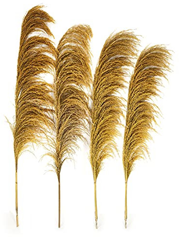 Gold Pampas Grass Decor Tall,Large Natural Dried Pampas Floral Fluffy,Long Feather Flowers for Boho Wedding Arangement Bedroom Living Room Decorations (gold, 8pcs 31.5/80cm)