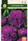 Mascarell Semillas, CLAVEL CHABAUD VIOLETA, Semillas Flores Exterior para Decoración, 0,4 Gramos