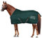 Horses, Heavy Winterdecke für Pferd 500gr, Gepolstert, Weich, Bequem, Ideal für Boxen, Widerstandsfähig, Grün, 128 cm