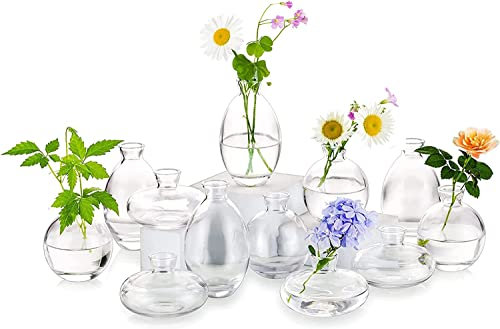 Kleine Vasen Für Tischdeko Aus Hewory, 12 Stück Vase Glas Mini Vasen Set Modern Glasvase Klar Kleine Blumenvasen Für Hochzeitsdeko Tisch Wohnzimmer Deko
