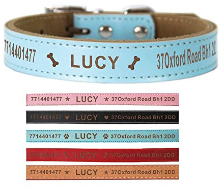 Leather Dog Collars Personalised Dog Collar Custom Collars for Pets Cat Puppy Dogs Blue Black Pink Red and 4 Sizes XS S M L (Blue M)