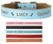 Leather Dog Collars Personalised Dog Collar Custom Collars for Pets Cat Puppy Dogs Blue Black Pink Red and 4 Sizes XS S M L (Blue M)