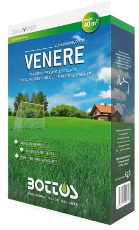 Semente per Prato 'Venere' per Aree Sportive o ricreazionali in Pieno Sole 1KG - Zollaverde Bottos