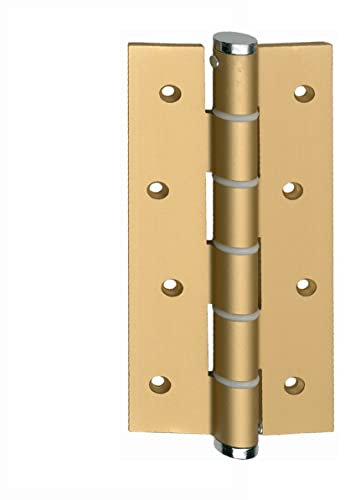 Bisagra muelle cierre simple acción con resorte con fuerza regulable medidas 180mm de alto 80cm de ancho peso máximo por bisagra 20kg material de aluminio (ORO)