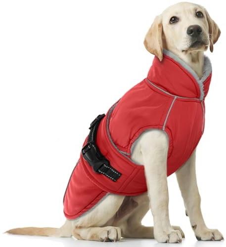 Wasserdichter Hundemantel, Winter Warme Hundejacke Winddicht Hundepullover Outdoor Hundemantel Hundebekleidung Winter Outfit für Hunde(Rot, L)
