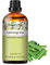 PHATOIL Zitronengrasöl Ätherisches Öl Reine 30ML, Ätherische Öle für Diffuser Erstklassige Qualität, Aroma Duftöl Zitronengras Öl für Kerzen, Duftlampe, Lemongrass Oil