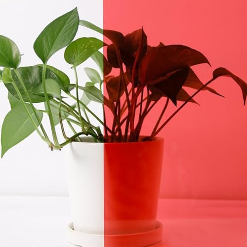 ACESOME Sichtschutzfolie Fenster, Fensterfolie Transluzent Folie Für Fenster Fensterfolie Buntglas, Sonnenschutzfolie Selbstklebend Spiegelfolie Wärmeschutzfolie UV Schutzfolie (Rot, 50 x 100 cm)