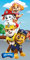 Jerry Fabrics Paw Patrol Duschtuch Badetuch Strandtuch 70 x 140cm, Multicolor