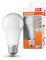 OSRAM Lámpara LED A75 de Star LED de para el enchufe E27, forma de pera, óptica Matt, 1055 lúmenes, luz de día blanca (6500k), reemplazo de bombillas convencionales de 75W, 1 paquete de 1