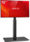 AOKCOS Supporto TV da Pavimento inclinabile per 32-55 65 70 Pollici, Girevole & Altezza Regolazione Mobile Porta TV da Terra, Max VESA 400x400mm 40kg
