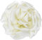 PATIKIL Broche en Satin de Soie en Forme de Fleur 4, Grande Épingle de Revers de Pivoine Florale pour Femmes pour Mariage, Fête d'Anniversaire, Vêtements, Chapeau et Sac, Beige
