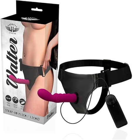 HARNESS ATTRACTION - RNES Walter with Vibration 15.5 X 3.7 cm