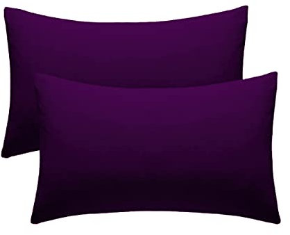 Purple Pillow Cases 2 Pack Hotel Quality Microfiber Pillowcases Covers (Purple, 2 x Pillow Cases)