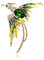 YAHOYA Broche Sexy Femelle Crystal Phoenix Exquise Femmes de Luxe Mode Oiseau Broches Femme Élégant Tempérament Corsage Accessoires