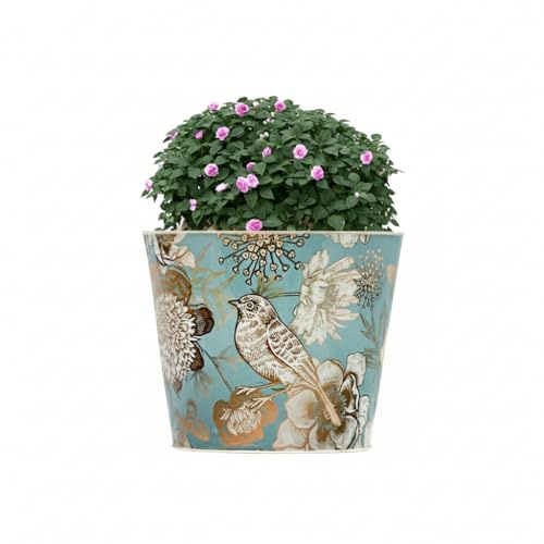 The Happy Garden Galvanised Metal Planter Pot (Birdie Round)