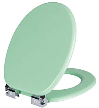 WC Sitz Toilettensitz Toilettendeckel mit Absenkautomatik mit kratzfester MDF Lackierung (Neomint)