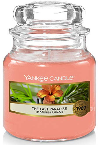 Yankee Candle Candela profumata | The Last Paradise Small Jar Candle | Tempo di combustione: fino a 30 ore