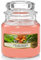 Yankee Candle Candela profumata | The Last Paradise Small Jar Candle | Tempo di combustione: fino a 30 ore