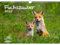 Fuchszauber DIN A3 Kalender für 2025 Fuchs und Füchse - Geschenkset Inhalt: 1x Kalender, 1x Weihnachtskarte (insgesamt 2 Teile)