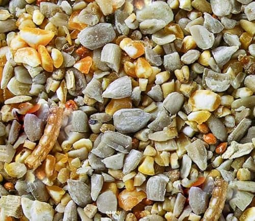BusyBeaks Robin & Songbird Feed | Premium Grade Garden Wild Bird Feed | Husk Free, No Germinating Seeds | Includes Nutritious, Fresh and Natural Ingredients | Protein Fat Fibre Oil Vitamins (2.5kg)