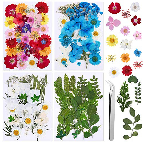 Vacoulery 134 Stück Echt Getrocknete Gepresste Blumen DIY Natürliche Getrocknet Blumen Set Gemischte Getrocknete Blätter für Kunst Basteln DIY Harz Kerze Scrapbooking Handwerk Karten Machen