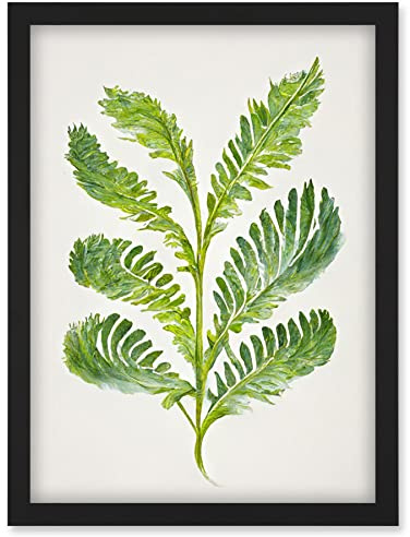 Doppelganger33 LTD Royal Fern Leaf Modern Watercolour Botanical Artwork Framed Wall Art Print A4