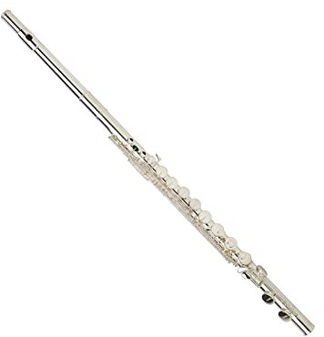 Schülerflöte Mit Geradem/gebogenem Kopfstück Neue Versilberte Schulbandflöte C-Ton 16 Tasten Geschlossenes Loch Mit Etui Einsteiger Querflöten (Color : Straight)