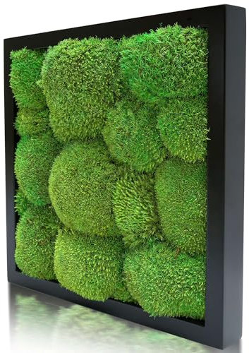 naturewalls Parent- Moosbild KM (Schwarz, 25 x 25)