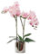 CXGS Künstliche Orchidee, Real Touch-Qualität, Kunstorchideen in Keramikvase, 50 cm, künstliche Phalaenopsis-Blume, Kunstblumenarrangement für Tafelaufsatz, Heim- und Innendekoration, Rosa