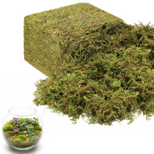 Legigo 1200g Green Sphagnum Moss for Crafts, 50L Forest Moss for Indoor Plants, Table Centerpieces, Artificial Fairy Garden, Terrarium and Party Decor, Fake Potted Plants and DIY Craft Projects
