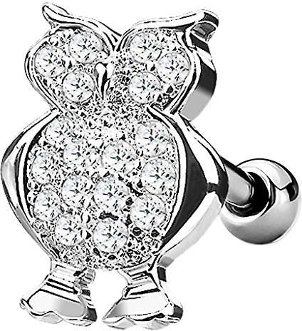 Piercingfaktor Tragus Helix Ohr Cartilage Knorpel Piercing 316 L Chirurgenstahl Stecker Eule mit Kristall